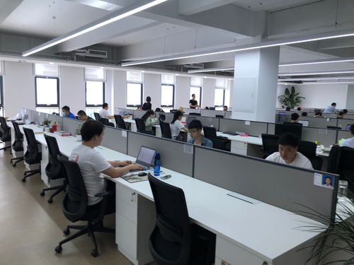 聚焦石家庄电子信息产业 神玥软件坚持数字化发展，迎来发展黄金期