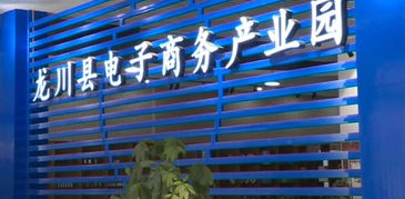 县工信局主动对接粤港澳大湾区，以产业共建与电商平台开发助推县域经济高质量发展