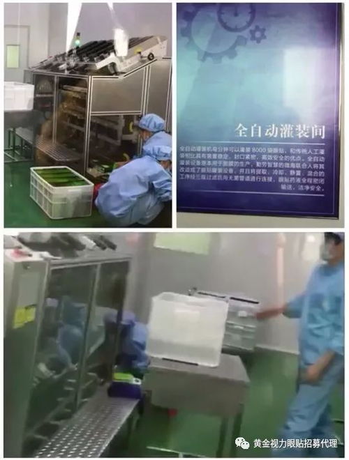 黄金视力眼贴新工厂开放日 代理商参观见证品质升级，国内广告布局引领市场新浪潮